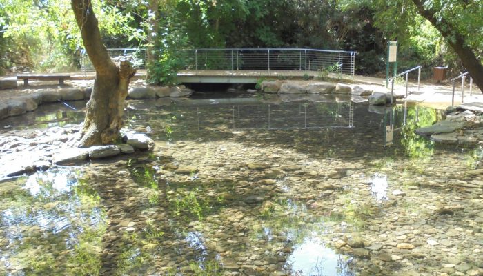 16.tel dan.©r.aligon