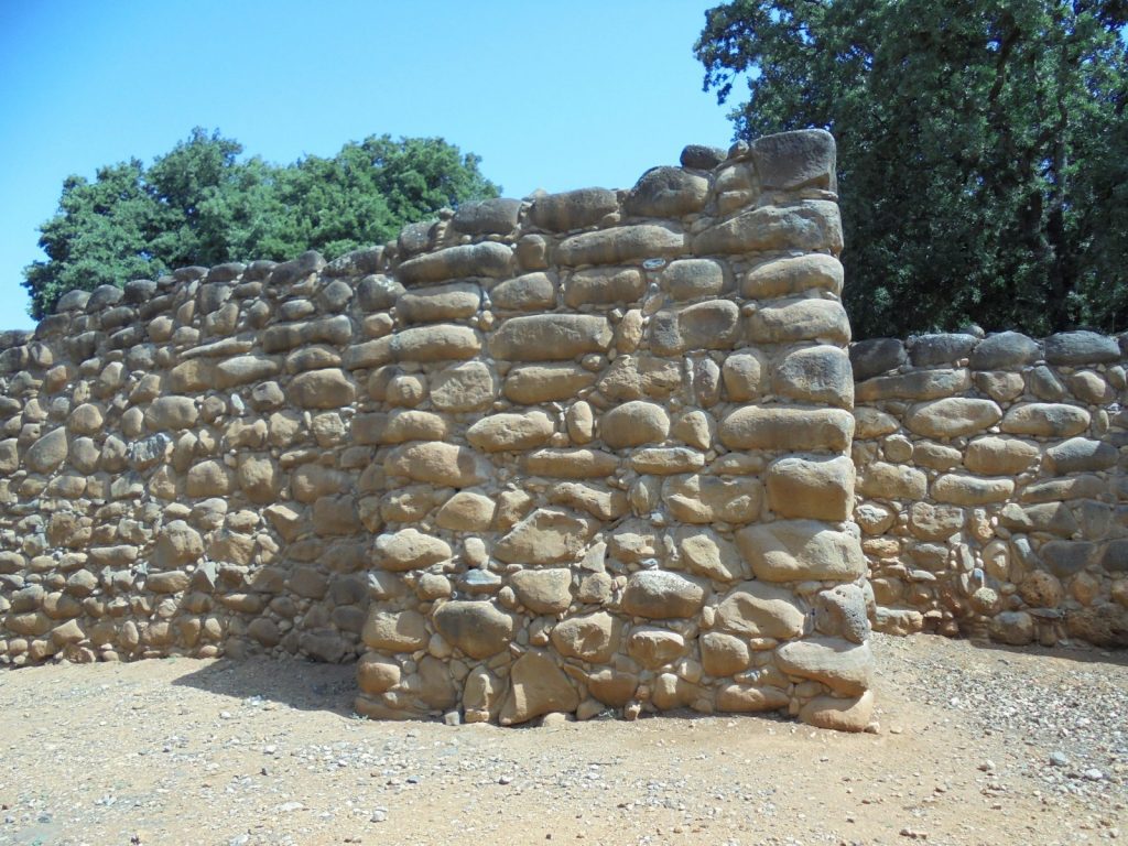 17.tel dan.©r.aligon