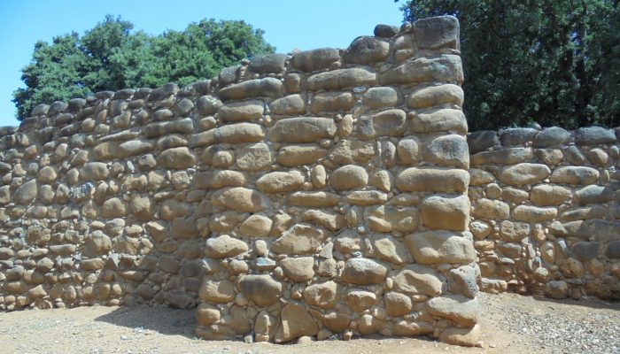 17.tel dan.©r.aligon