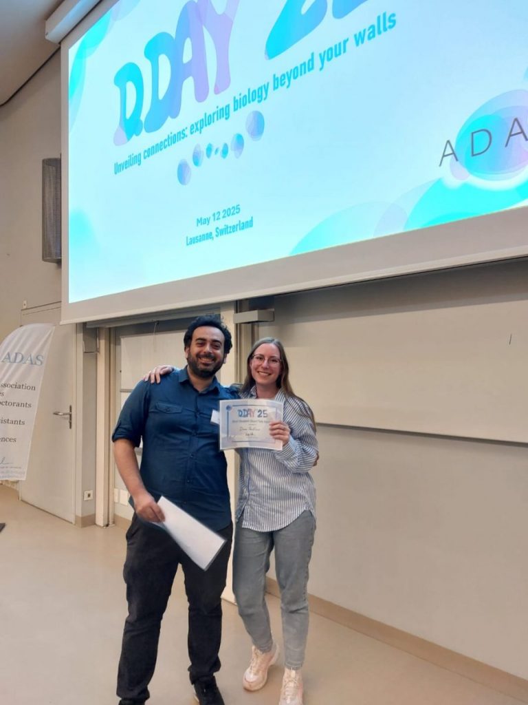 diana dday elevator pitch