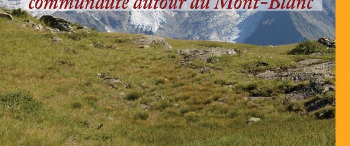 L’émergence du francoprovençal. Langue minoritaire et communauté autour du Mont-Blanc