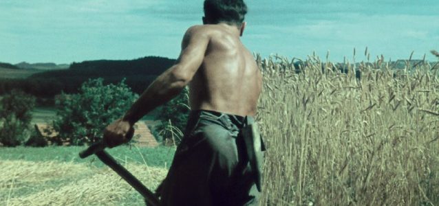 Cultures paysannes 2025 hart hist cultures paysannes