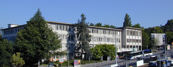 dpt 589x230
