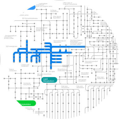 eico