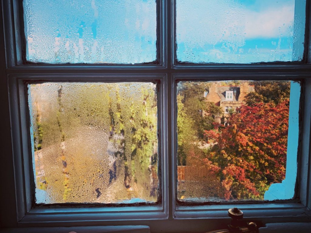 Photograph of a window whose panes are covered in condensation, with houses and trees visible in the distance.