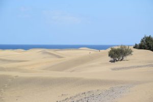 Photograph of sand dunes, with 2 silhouettes in the distance and the sea visible at the horizon.