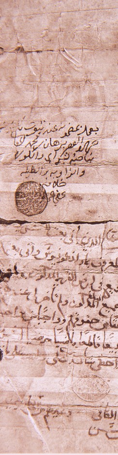 rapport halawi image 1
