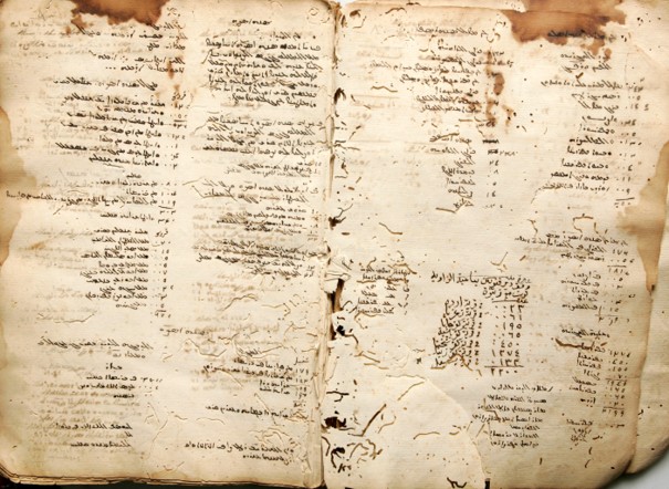 rapport halawi image 2