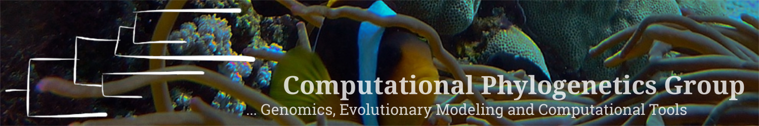 Computational Phylogenetics Group