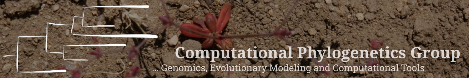Computational Phylogenetics Group