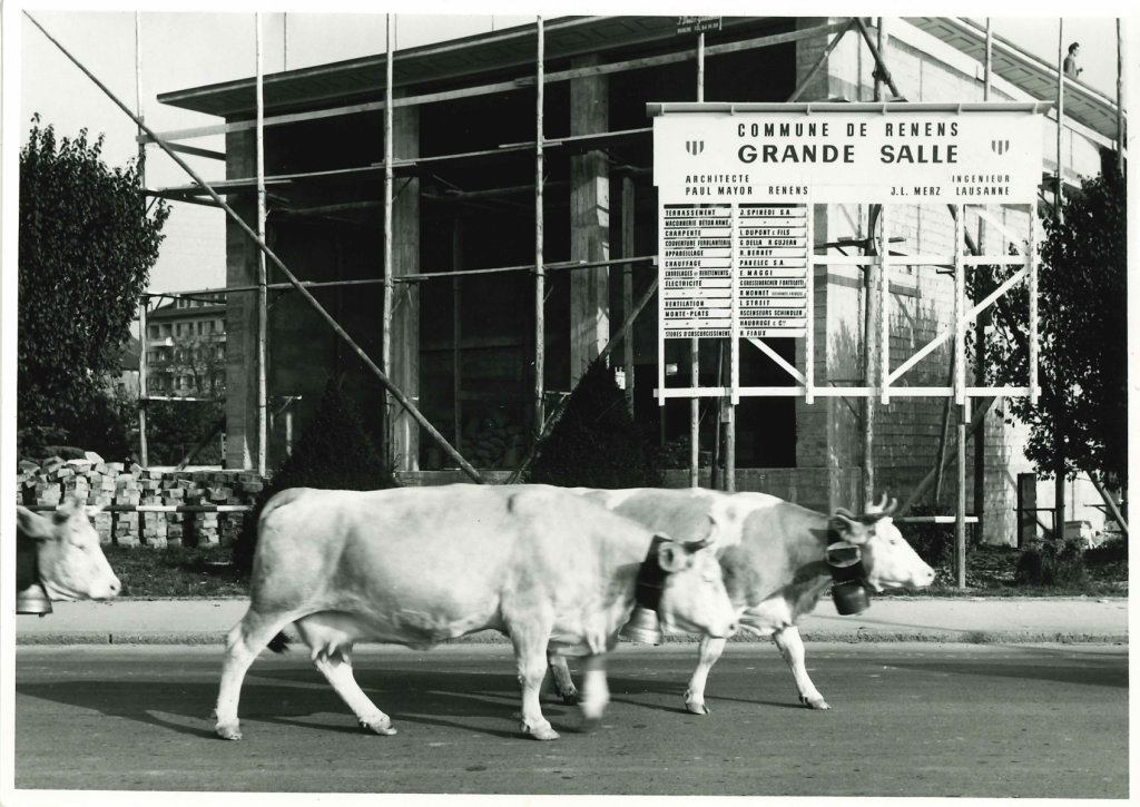 Photographie, 5 novembre 1954, Archives communales de Renens, Fonds photographique (non inventorié).