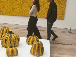 Beyeler-8