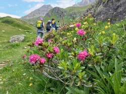 GrandChavalard-14