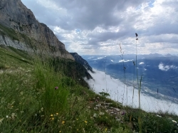 GrandChavalard-6