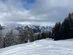 chalet-2026-20