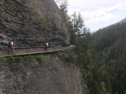 BIsse-3