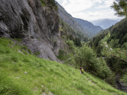 Bisse-12