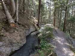 Bisse-15