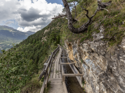 Bisse-19