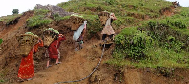 Ecosystems Protecting Infrastructure and Communities (EPIC): Nepal-Reducing risk from landslides and flash floods