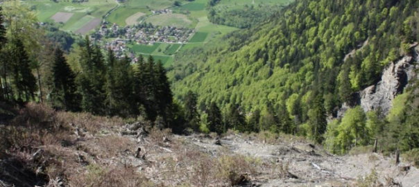 Lauren Gavillet: Dynamique d’érosion et étude de stabilité d’un petit bassin versant alpin: le cas du Courset (VD, Switzerland)