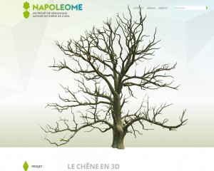 Napoleome website printsreen