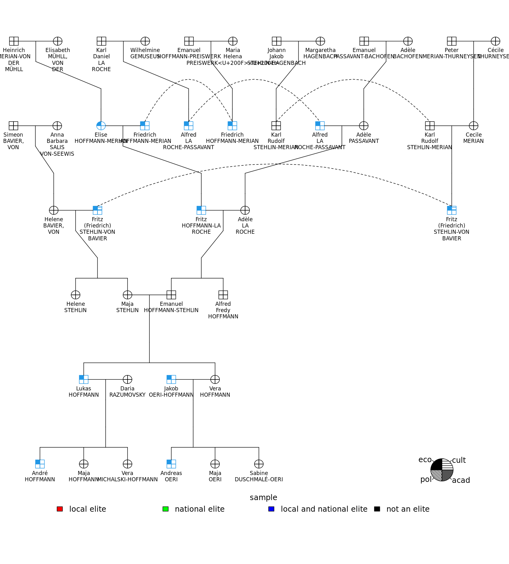 The Swiss Elite Kinship Generator (skingen) And The Swiss Elite 