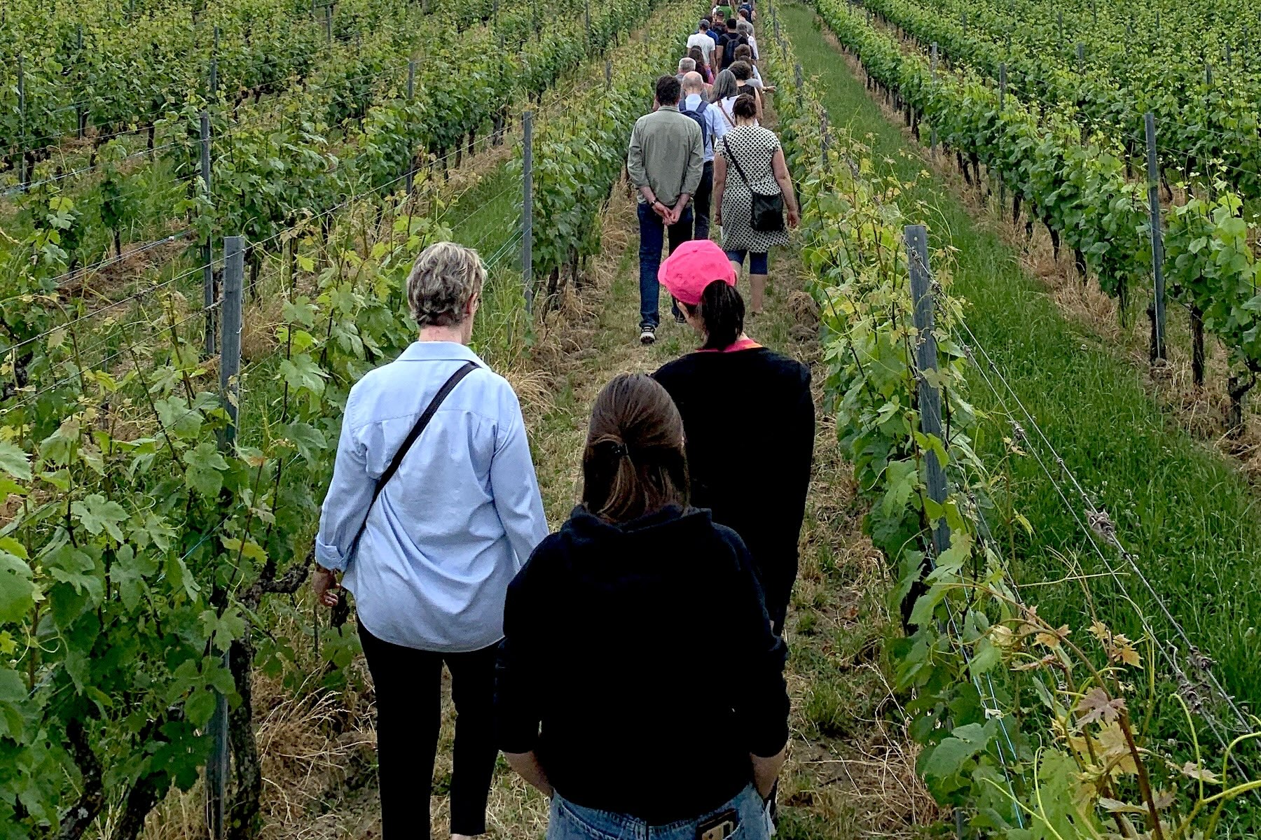 img 1044 croppée moyenne