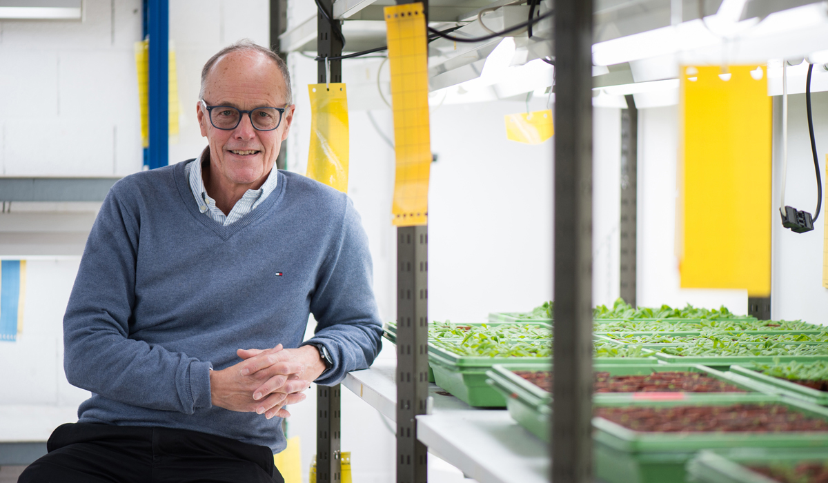 Le professeur ordinaire Edward Elliston Farmer pose dans l’une des trois salles de culture du Département de biologie moléculaire végétale de l’UNIL. © Félix Imhof / UNIL