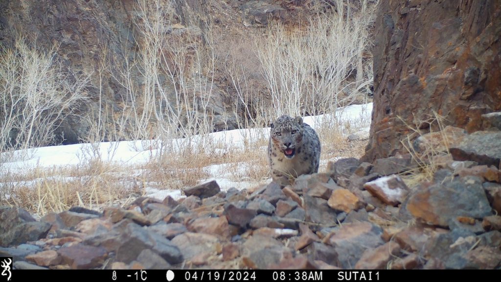 p00[607:608] e[126:0303]g[000:0x00] bv[93:0] ir[l]