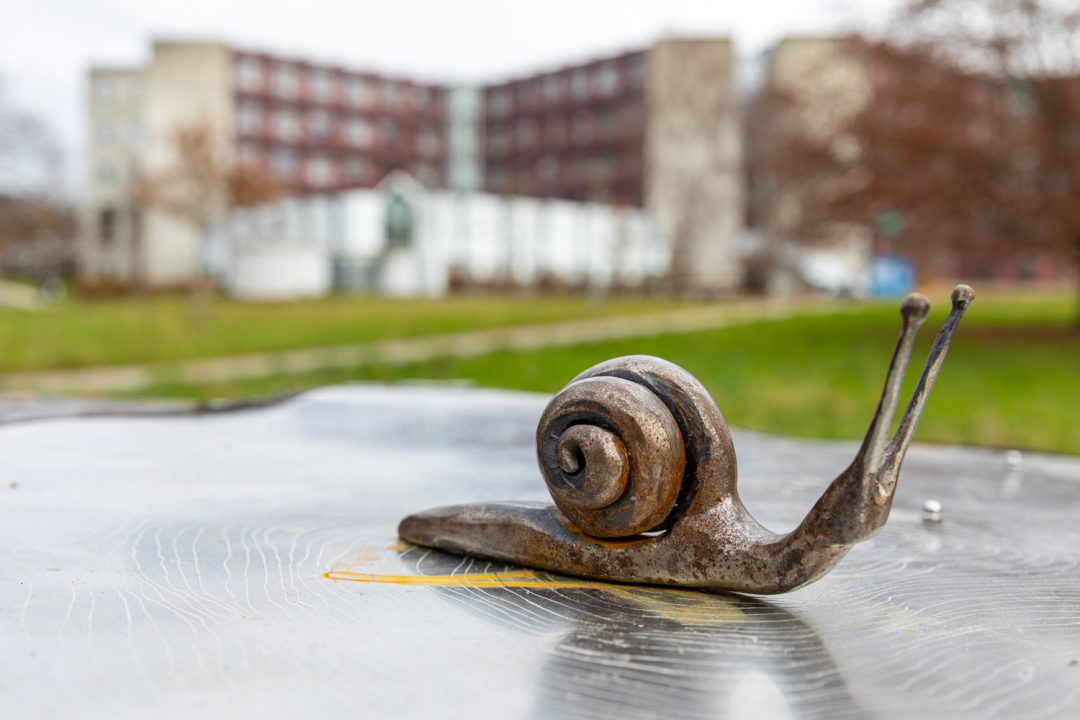 Escargot