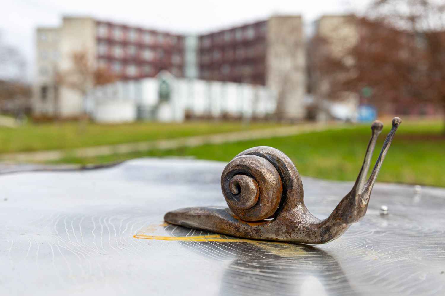 Escargot