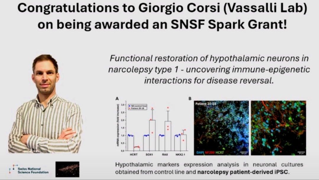 Giorgio Corsi award spark